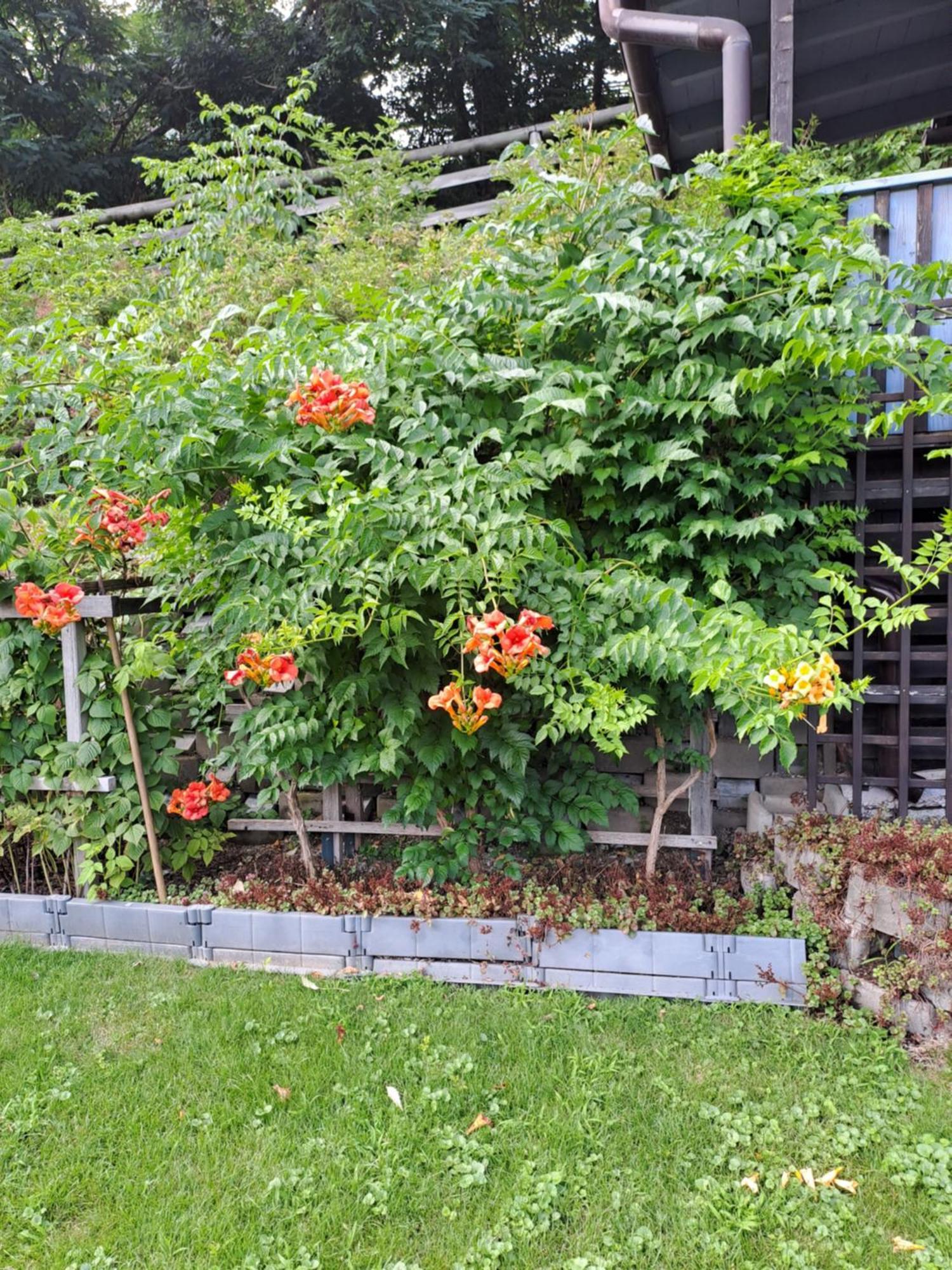 Ferienwohnung Brenner Bruck an der Mur Eksteriør billede